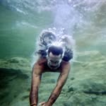 Eddie Balogh - @eddiebalogh - Instagram