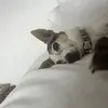 @EdBancroft✝️ - @edbancroft626 - TikTok