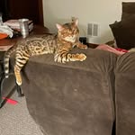 Ed Bannon - @edjubannon1 - Instagram
