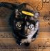 Edward Barbour - Facebook