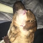 Ed Barkley - @edbarks4justice - Instagram