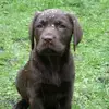 user4121753361782 - @edbarr - TikTok