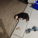 Ed Barth - @ed.barth.52 - Instagram