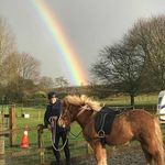 Ed Beardsley - @beardsley8933 - Instagram