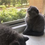 @prema_beardsley.ed3 - Instagram
