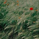 Edelgard Bechtel - @edtelgard_bechtel - Instagram