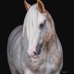 @ehm.edberkel - Instagram