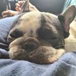 Ed Bernardo - @sweetguy325 - Instagram