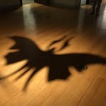 Ed Bernstein - @edbernstein1 - Instagram