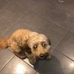 Ed Bird - @edbirduk - Instagram