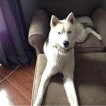 Ed Bishop - @edbishop63 - Instagram