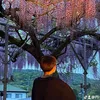 edoro - @keiichiro133 - TikTok