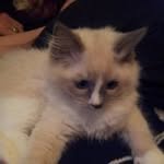 Ed Boston - @boston_ed - Instagram