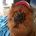 Ed Boswell - @boswelled - Instagram
