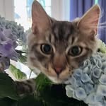 Joe Boswell - @ed_boswell_ - Instagram