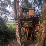 @la_cabane_de_bournezeau - Instagram