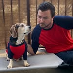 Bowie the Beagle & Ed - @bowie.and.ed - Instagram