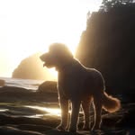 Ed Bowles - @fishoregon - Instagram