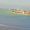 boba - @edbrannon2 - TikTok