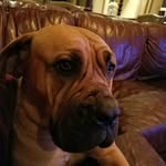 ed breazeale - @breazeale14 - Instagram