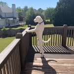 Ed Briscoe - @edlbriscoe - Instagram
