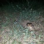 Ed Brockman - @ed.brockman.9 - Instagram