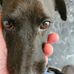 Ed Buckley - Facebook