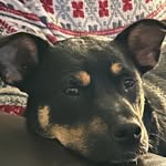 Ed Buckley - @ejbucksr - Instagram