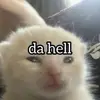 Darkthrone - @edbundy__ - TikTok