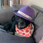 Edward Jones - @evil_ed_bundy - Instagram