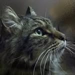 Eddie Burkhalter - @edb81001 - Instagram