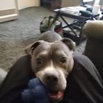 Edward Burnell - Facebook