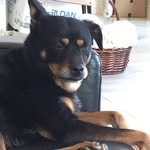Ed Butera - @captain_eddie_b - Instagram