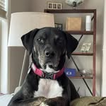 Ed Byrd - @byrd.ed - Instagram