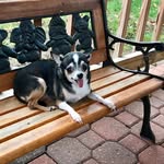 Ed Cabral - @edfromri - Instagram