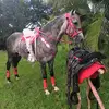 Edgardo Canales - @edgardo.canales57 - TikTok