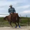 CowBoy33 - @eddieraycantrell - TikTok