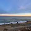 Edddddddd - @carey.ed - TikTok
