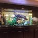 Hampton Inn &amp; Suites by Hilton, 1202 Ed Carey Drive, Harlingen, TX 78550 - Facebook