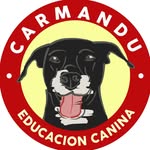 Carmandú Educación Canina - @carmandu.educanina - Instagram