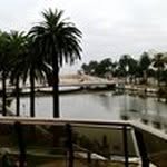Ed Carmona - @new2edcar - Instagram