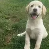 ED Carnell - @ed.carnell - TikTok