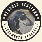 Edoardo Carnevale - Facebook