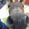ed_caroll - @ed_caroll - TikTok