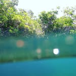 Marine Natural Products Lab at UPR-MSC - @edcarolab - Instagram