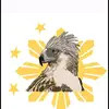 Ed Casas - @ed.casas5 - TikTok