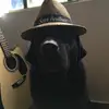 edcasas72 - @edcasas72 - TikTok