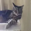 Ed Cassidy - @ed.cassidy - TikTok