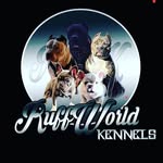 Ed Castaneda - @eragon545 - Instagram