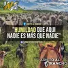 Ed Castañeda - @edcastaneda4 - TikTok